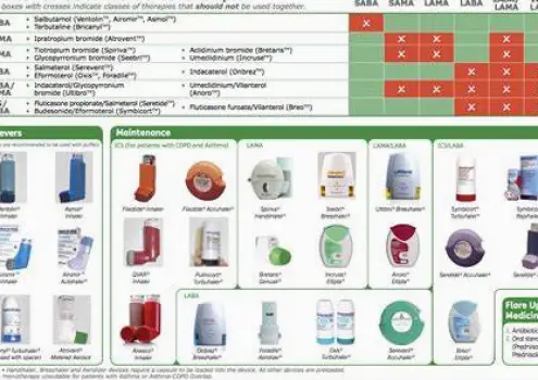 Several different asthma inhaler devices with distinct shapes arranged side by side on a table