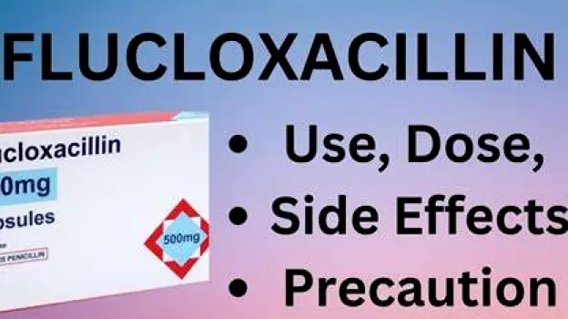 Can Flucloxacillin Treat a Chest Infection? What to Know
