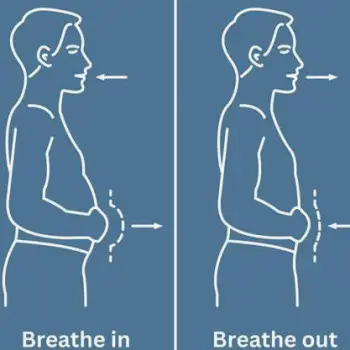 Person sitting relaxed with one hand on the abdomen, belly rising as they inhale slowly through the nose