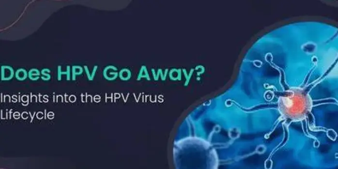 Does HPV Go Away? Clearance, Persistence, and Follow-Up