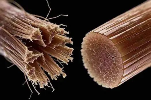 Close-up of a hairbrush holding broken hair strands next to hair ends with split tips