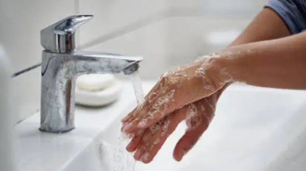Person washing hands thoroughly with soap and running water at a sink after handling a dog