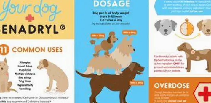 Benadryl for Dogs: Weight-Based Dosing and Safety