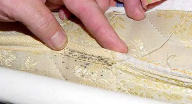 Person inspecting a mattress seam and bed frame for signs of bed bugs.