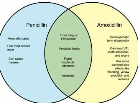 Amoxicillin vs. Penicillin: Are They the Same Antibiotic?