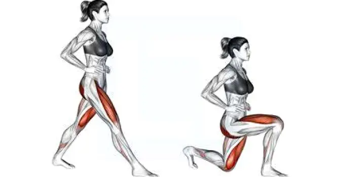 Front view of a person performing a lunge, showing the prominent quadriceps on the front thigh and gluteus maximus on the buttocks