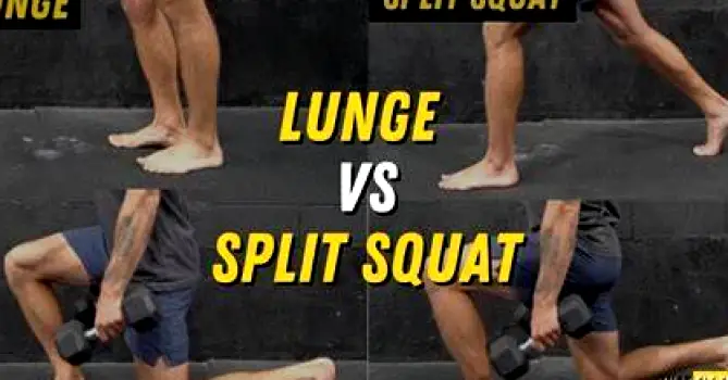 Side-by-side comparison of a person performing a single-leg lunge and a person performing a back squat, highlighting the split stance of the lunge compared to the bilateral position of the squat