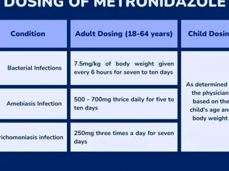 Metronidazole 400 mg for Adults: Dosing and Safe Use