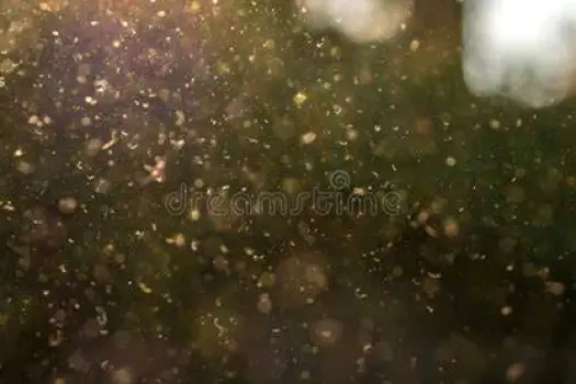 Microscopic view of pollen grains floating in air