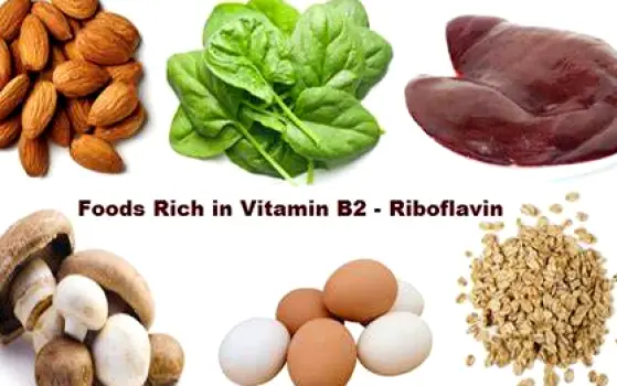 Assortment of milk, eggs, almonds, mushrooms, spinach, and enriched bread arranged on a kitchen counter