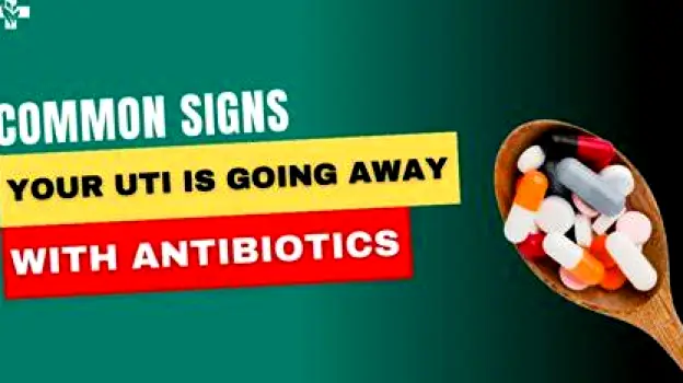 How to Tell Whether a UTI Is Improving With Antibiotics