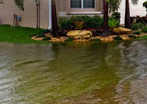 Standing water collected in containers near the exterior of a home.