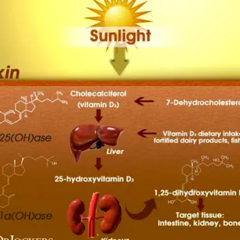 Human skin exposed to sunlight with visible sun rays