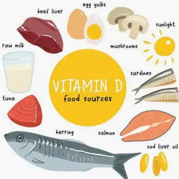 Assorted foods rich in vitamin D: salmon fillet, egg yolk, sliced mushrooms, fortified milk carton, and cheese block