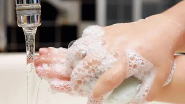 Hands being washed with soap and water under a running faucet.