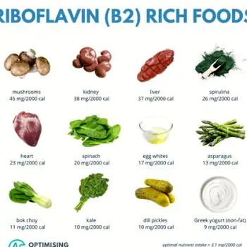 Foods High in Vitamin B2: The Best Riboflavin Sources