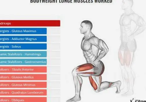 Which Muscles Do Lunges Target? A Guide to Each Variation